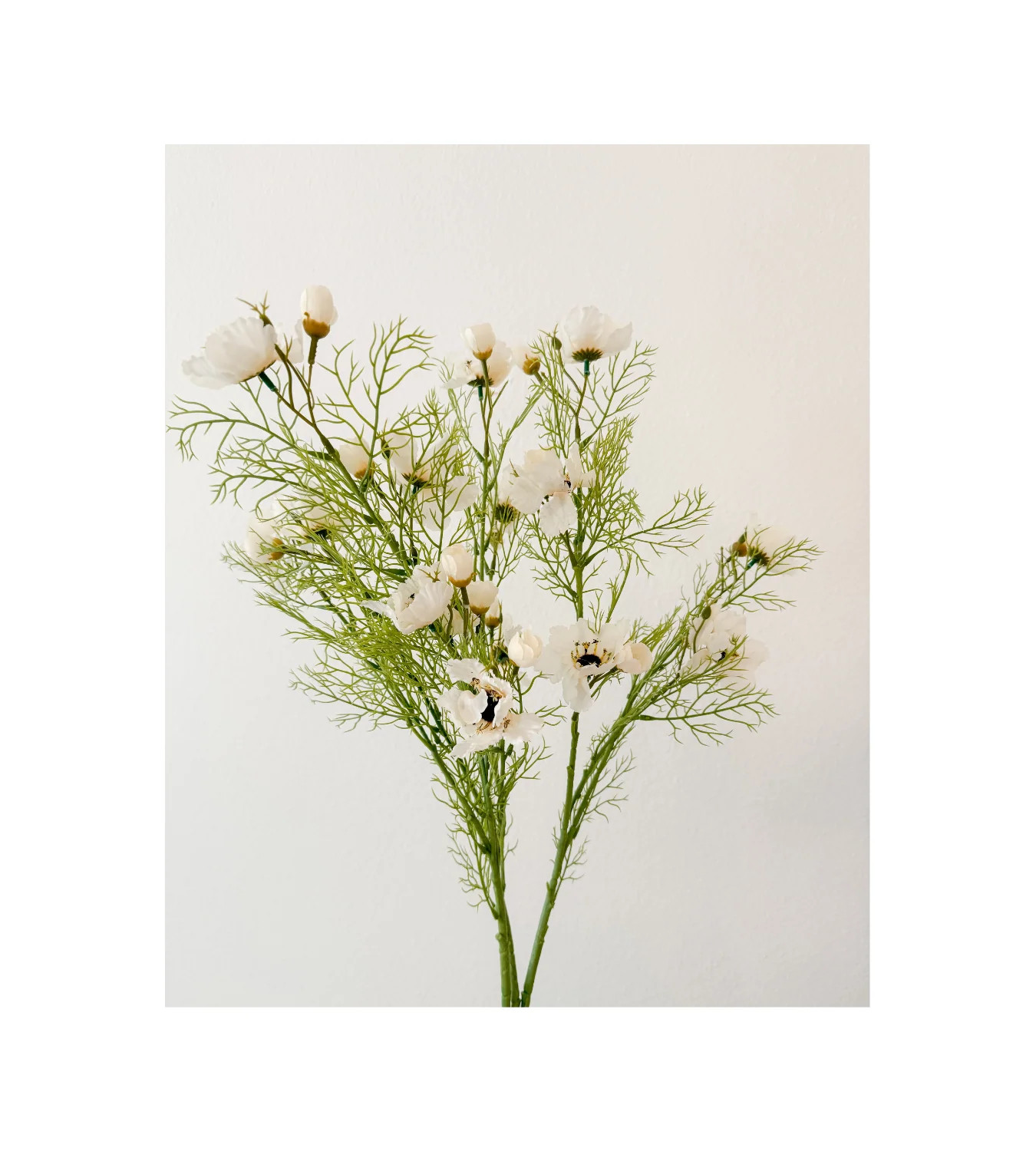 Faux Cosmos Cream Stems | Cottage and Key