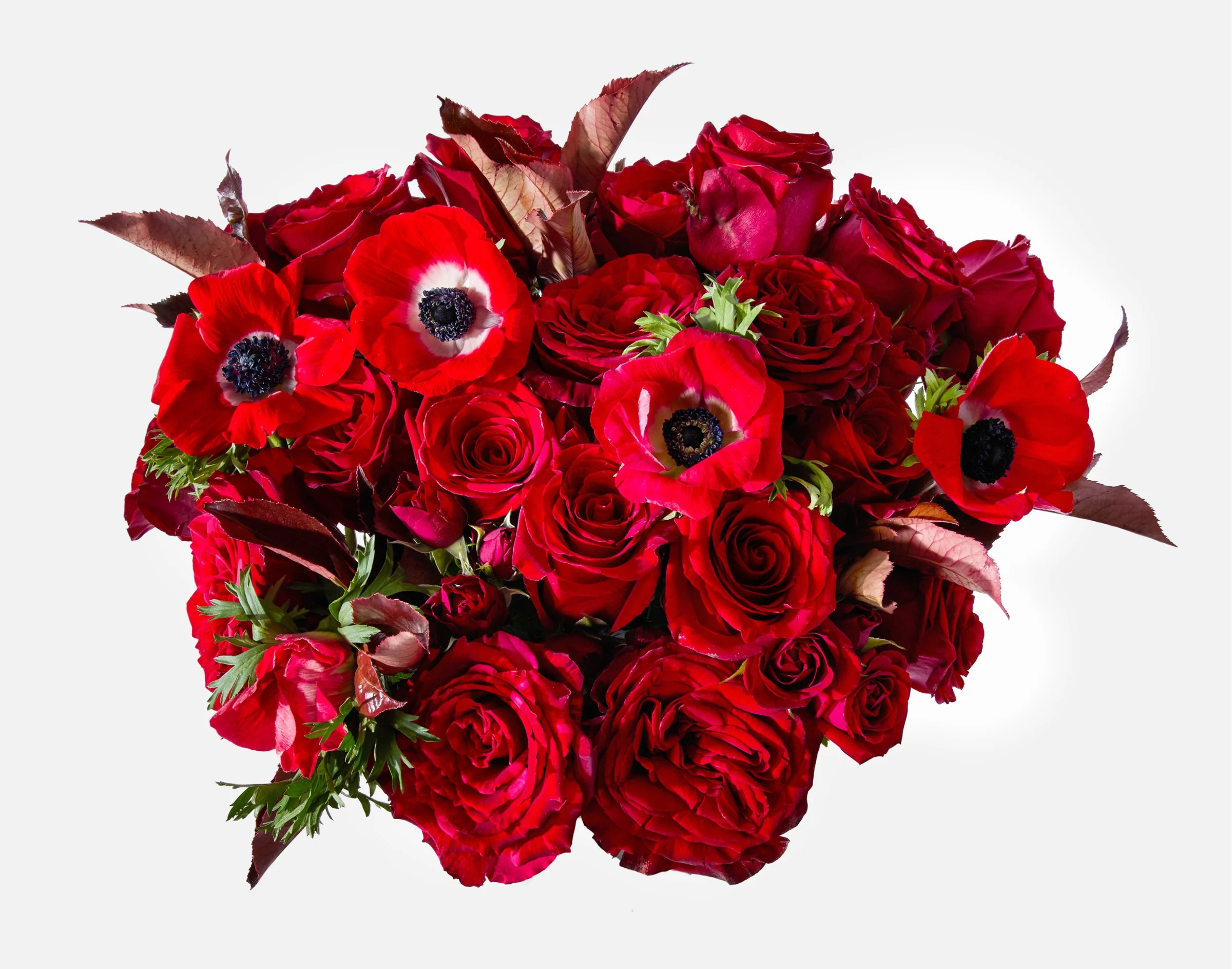 The American Rose | UrbanStems