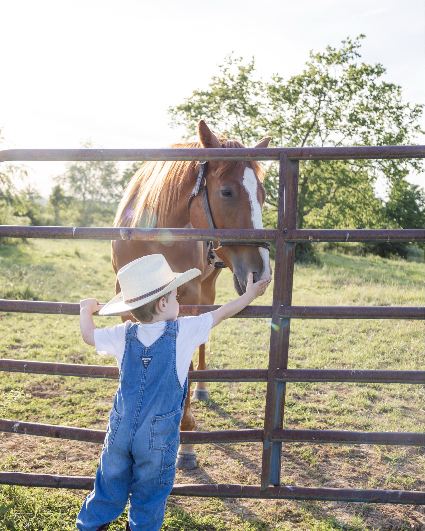 I’m so glad I didn’t cancel our family photos and reschedule for a later date 😭😭😭 my tiny cowboy and his girl. I cannot believe she’s gone @Wrangler @Tecovas

#LTKmomlife #LTKBaby #LTKKids
