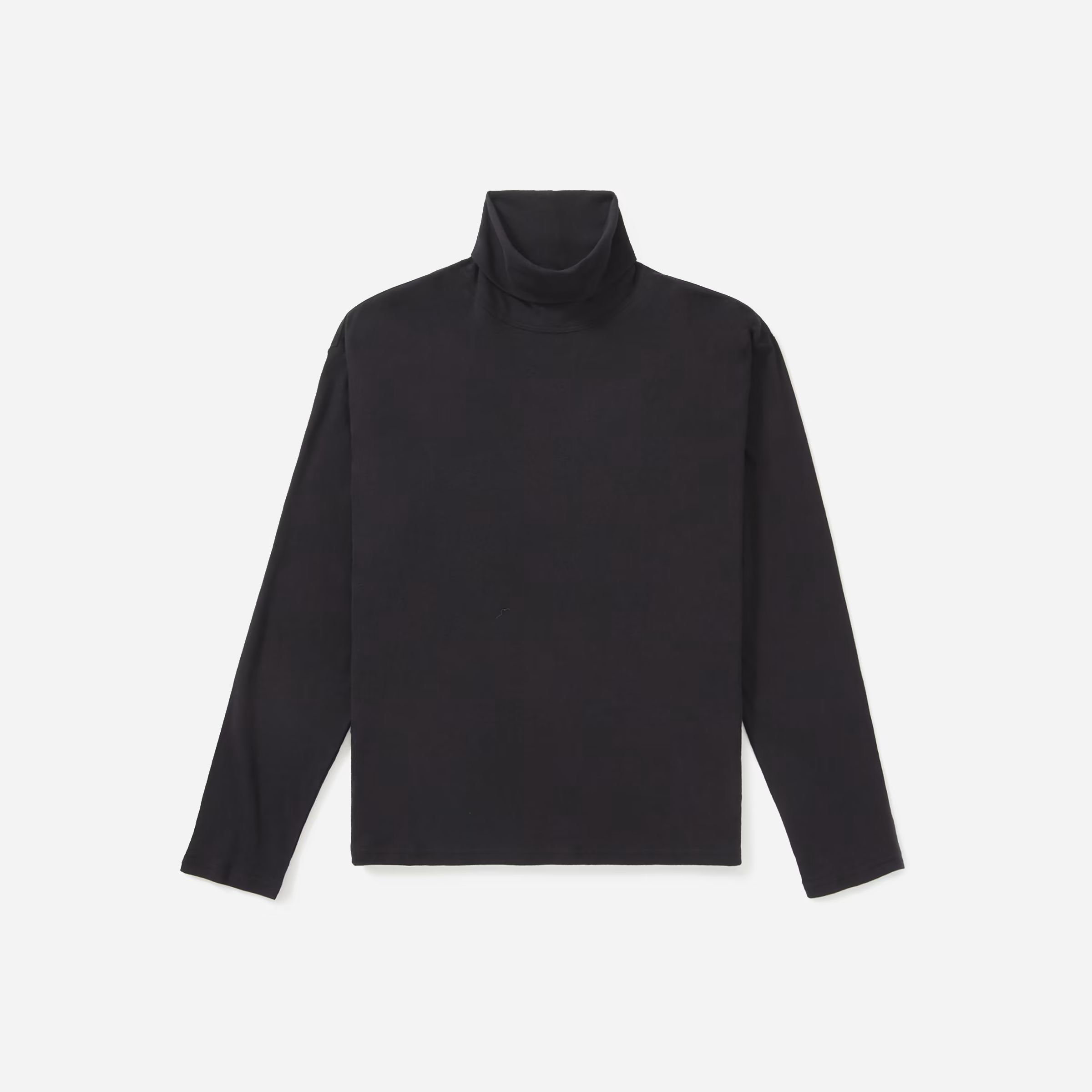 The Air Turtleneck | Everlane