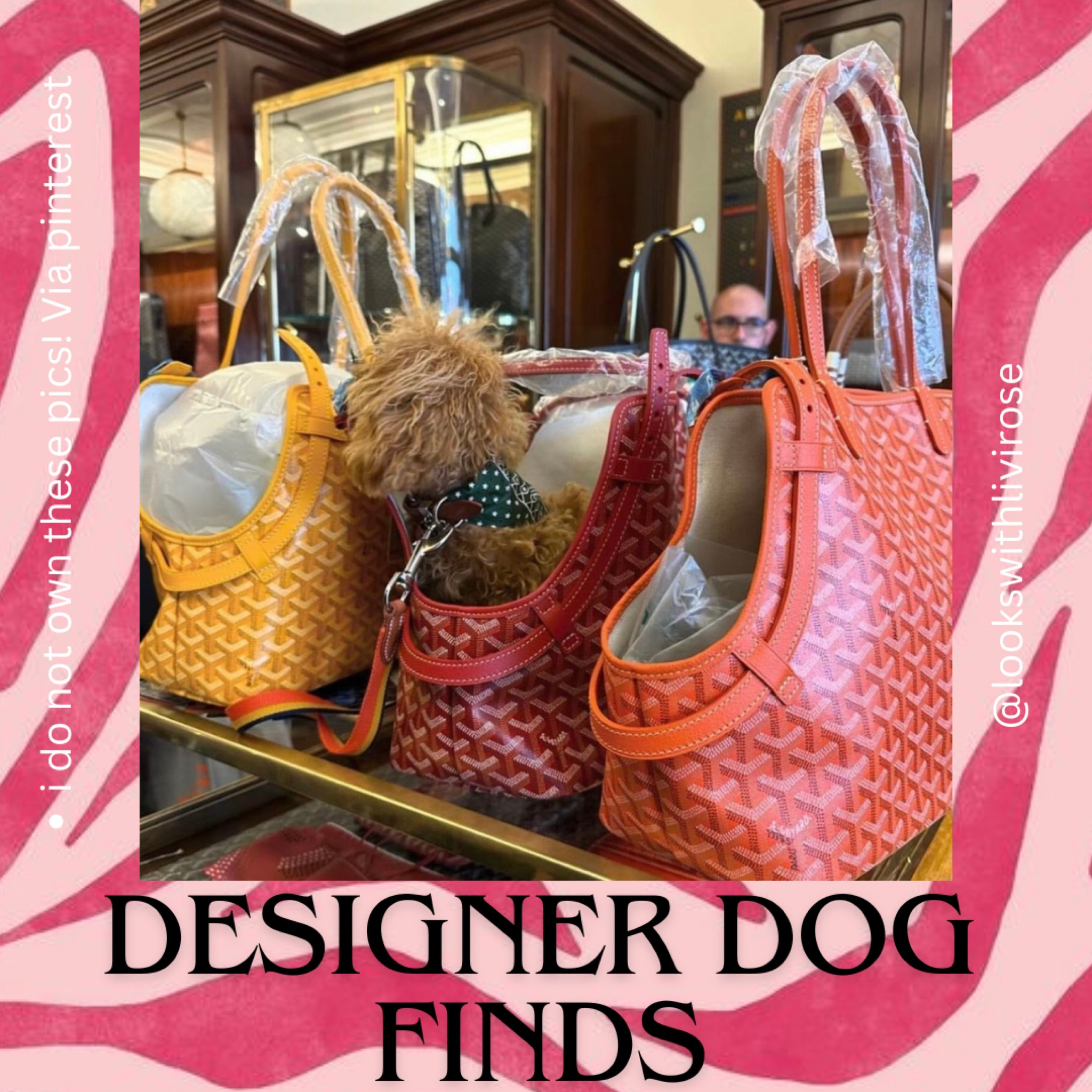 Always size up a size in dog clothes from here! 

#LTKfindsunder100 #LTKSeasonal #LTKfamily