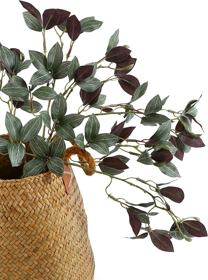 Visit the DuHouse Store | Amazon (US)