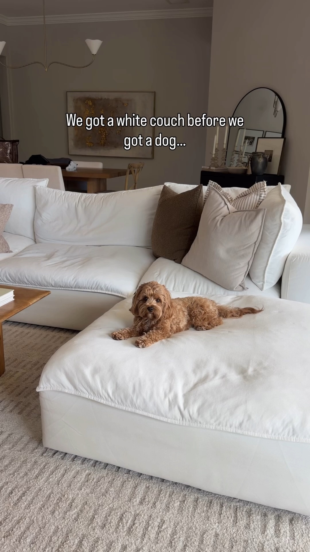 Use my code olive50 for up to 50% off on mammamiacovers.com

Having a dog means a lot of love… and a lot of dirty paw prints 😅 We got a white couch before we got Olive, so keeping it clean was impossible.This cover completely changed the look of the couch while protecting it from everyday mess. 

Couch cover, couch slipcover, cover for pets 

#LTKdayinmylife #LTKHome