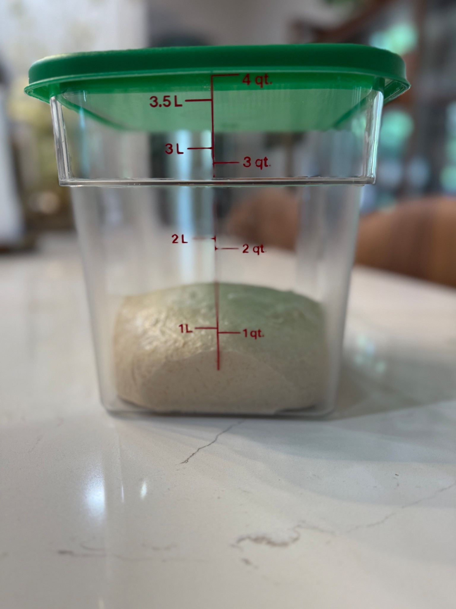 These containers are perfect for watching the rose on your dough. They are clearly marked and the lids are secure  

#LTKHome #LTKFindsUnder50 #LTKSaleAlert