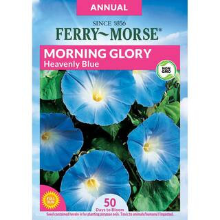 Morning Glory Heavenly Blue Flower Seed | The Home Depot