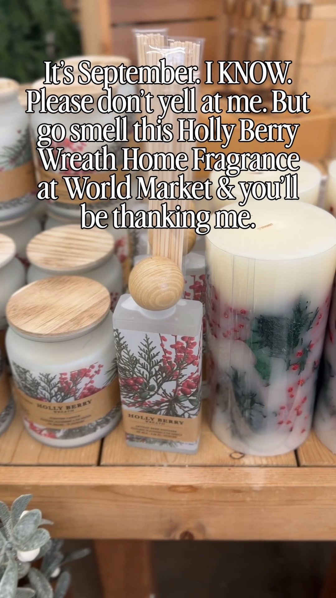 I hate to break it to you… but Christmas is coming. 😂🎄

And when the Holly Berry Wreath collection at World Market smells this good, I’m not mad about it. Mandarin, orange, pomegranate, eucalyptus, balsam + vanilla… festive without being that overpowering “Christmas candle” smell.

Adding this one to the holiday decor list ASAP

#LTKSeasonal #LTKHome #LTKOver40