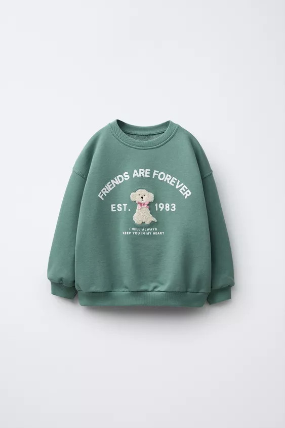 TERRY PATCH SWEATSHIRT | Zara UK