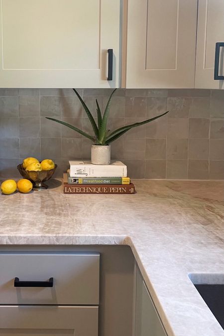 Call me a quartzite queen but seriously, is there anything better than this Taj Mahal slab? 🕌 Kitchen remodel design by @holleyhouseco

#LTKstyletip #LTKhome #LTKunder100