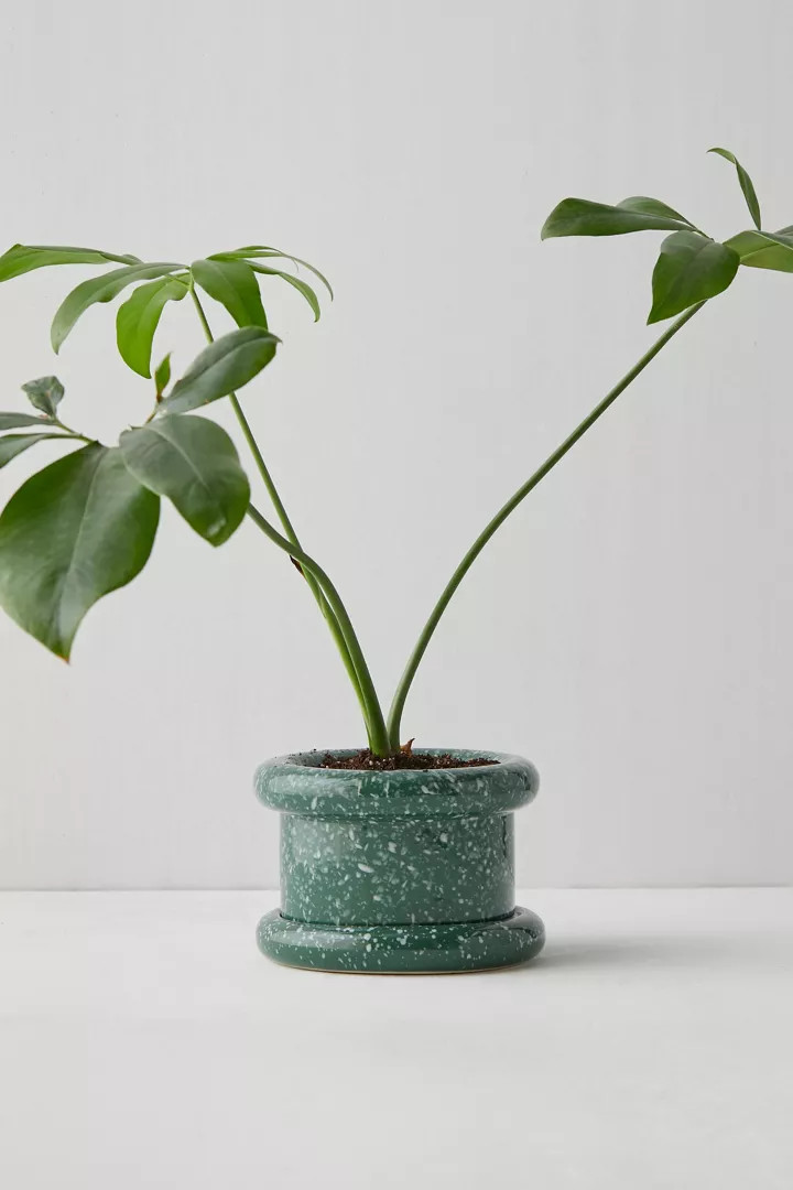 Layla Small 2-Piece Tube Planter | Urban Outfitters (US and RoW)