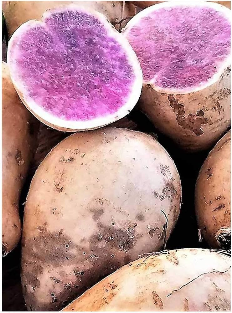 Okinawan Hawaiian Purple Sweet Potatoes 3 Lbs. | Amazon (US)