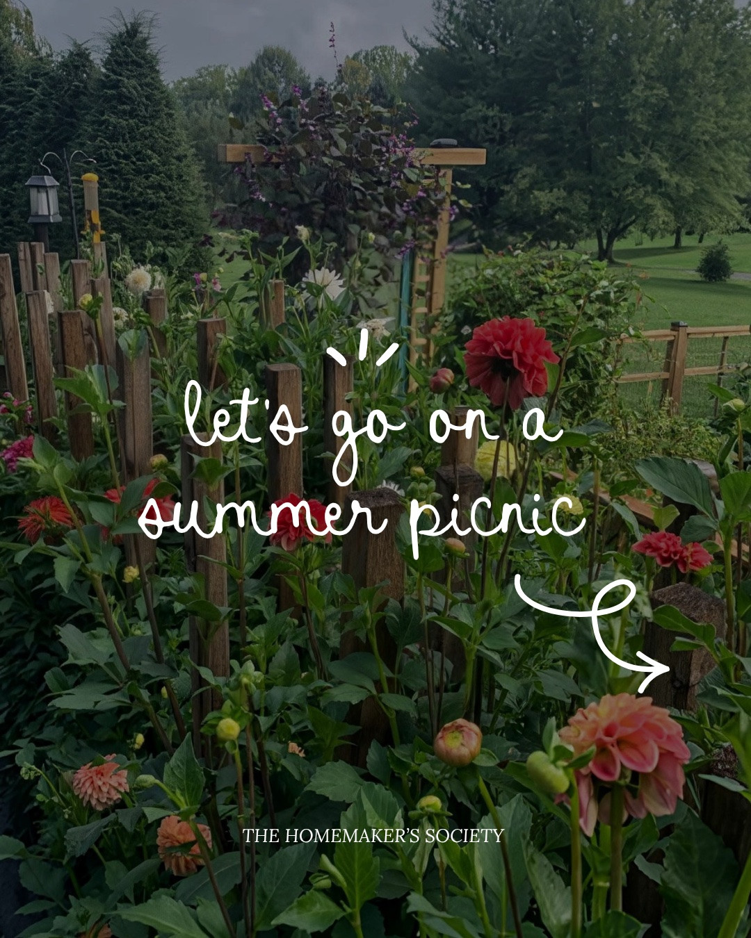 Everything you need to for the perfect summer picnic!

#LTKHome #LTKSeasonal #LTKmomlife