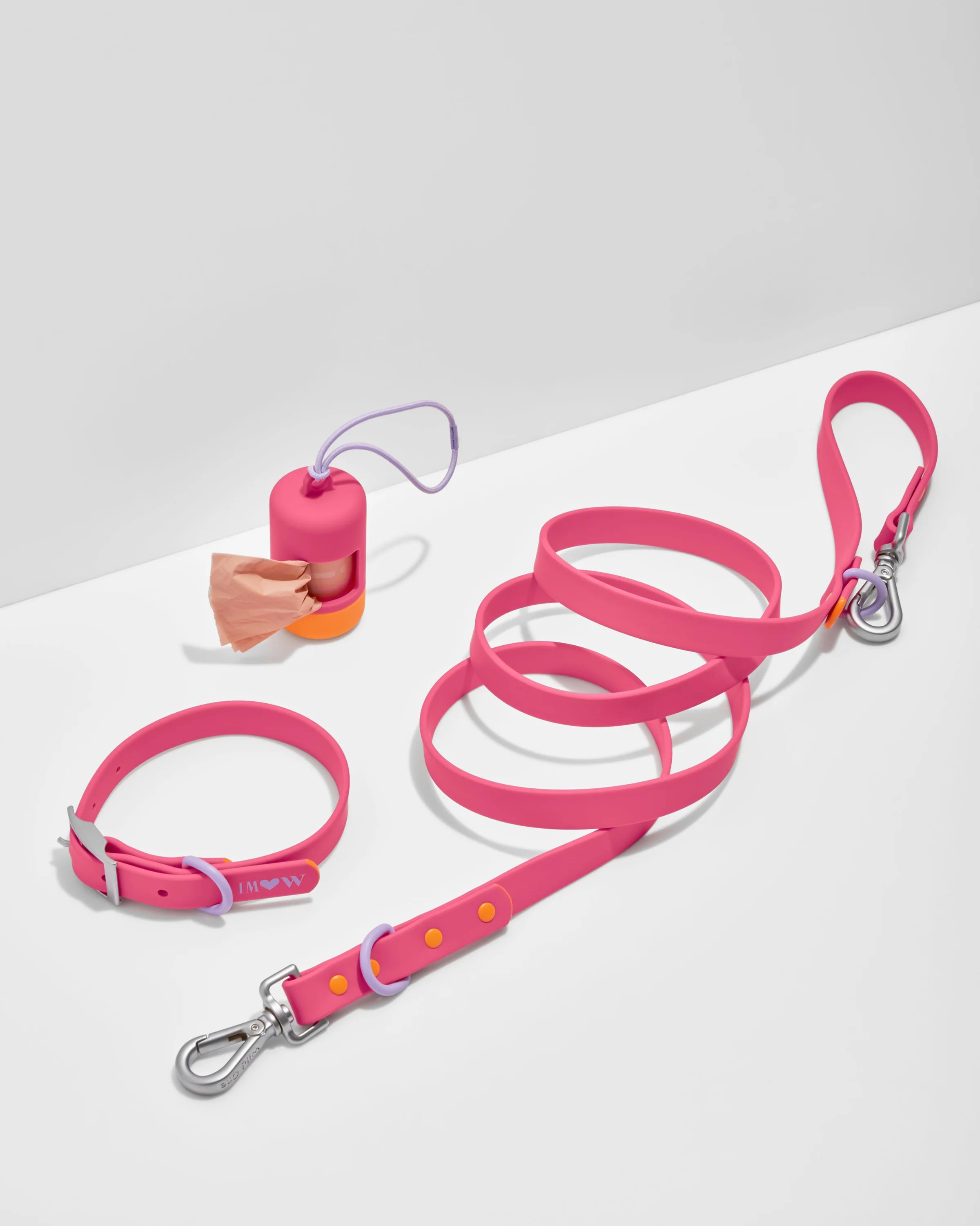 Collar Walk Kit | Dog Collar & Leash Set | Isaac Mizrahi ❤︎ Wild One | Wild One