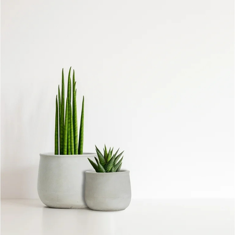 Olly & Rose Natural Ceramic Cement Planter Set 2 Plant Pots Natural Light Gray Indoor Outdoor Pla... | Walmart (US)