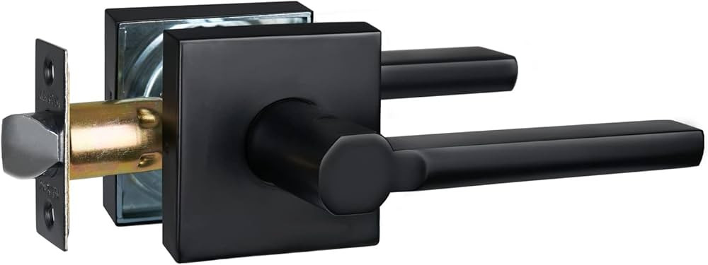 Passage Door Lever, No-Locking Hall/Closet Door Handle, Heavy Duty Lever Door Handle Interior, Ma... | Amazon (US)