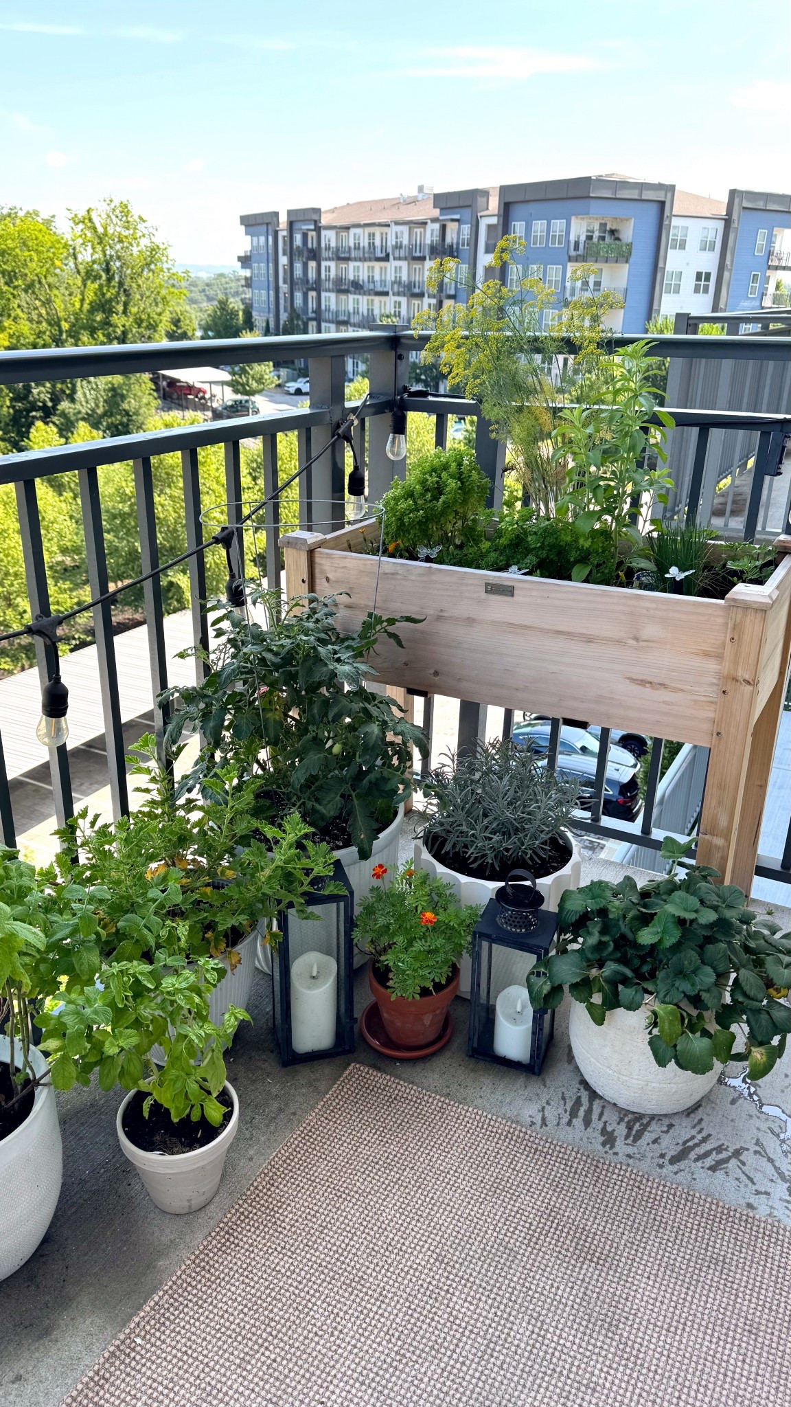 Balcony herb garden bed on sale! 

Amazon prime, prime day sales, Amazon sale

#LTKSeasonal #LTKSaleAlert #LTKHome
