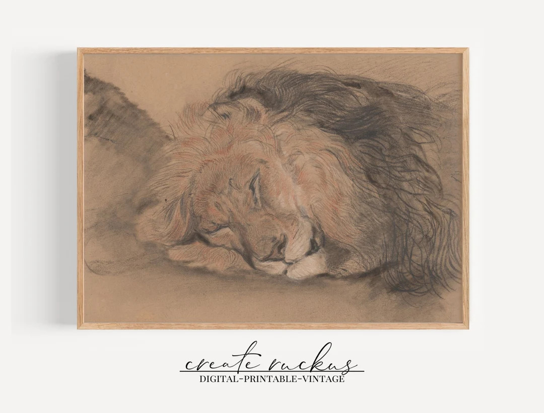 Printable Vintage Drawing of a Sleeping Lion Digital - Etsy Canada | Etsy (CAD)