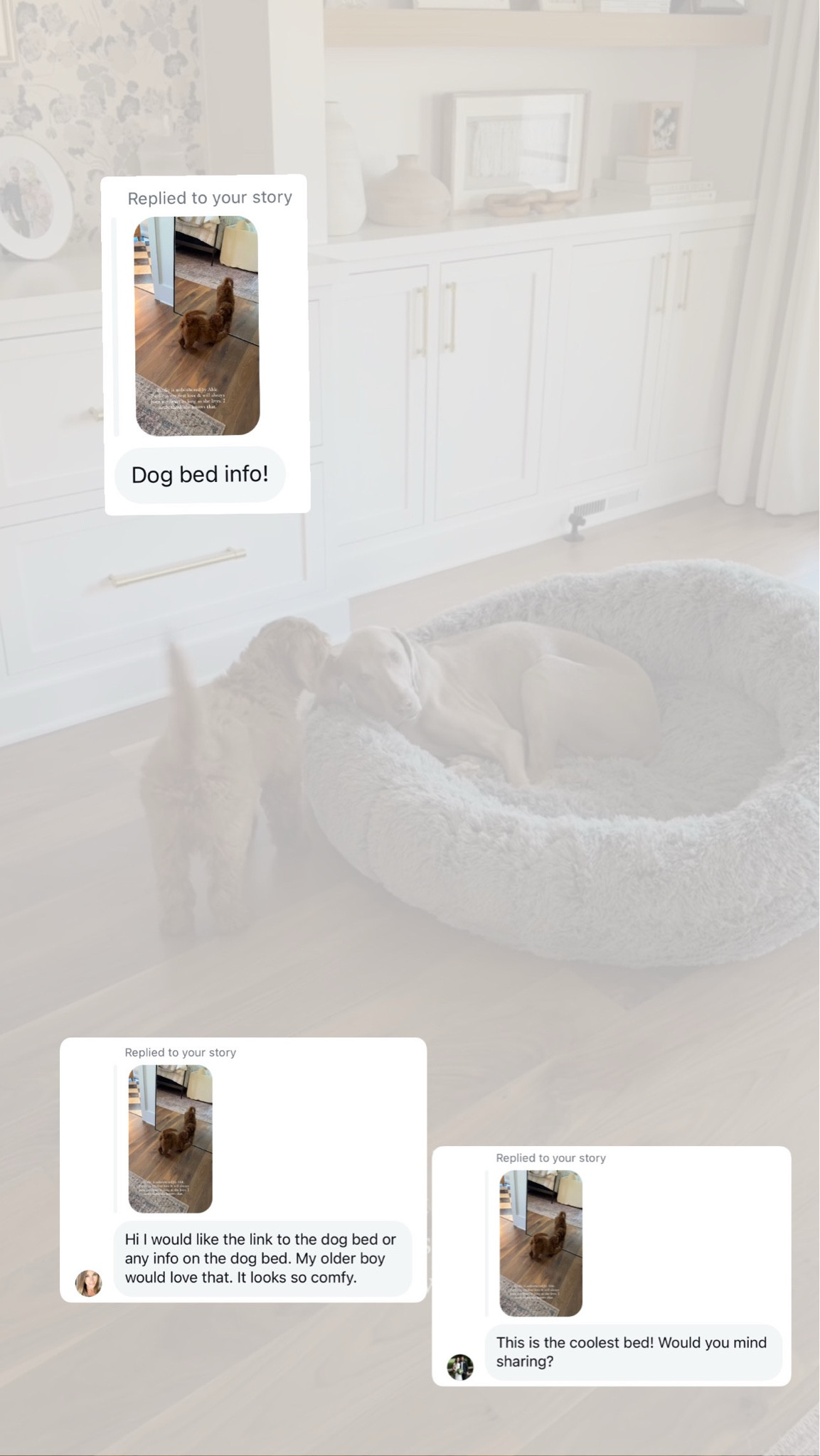 Birdie has been loving this dog bed! 

Loverly Grey, dog bed, dog finds, Wayfair, home finds 

#LTKPets #LTKHome