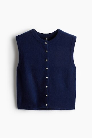 Knit Vest | H&M (US + CA)