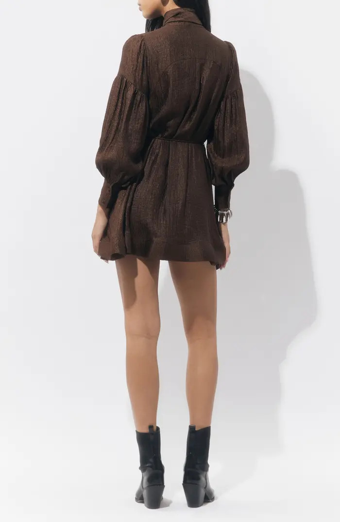 Daphne Metallic Long Sleeve Minidress | Nordstrom