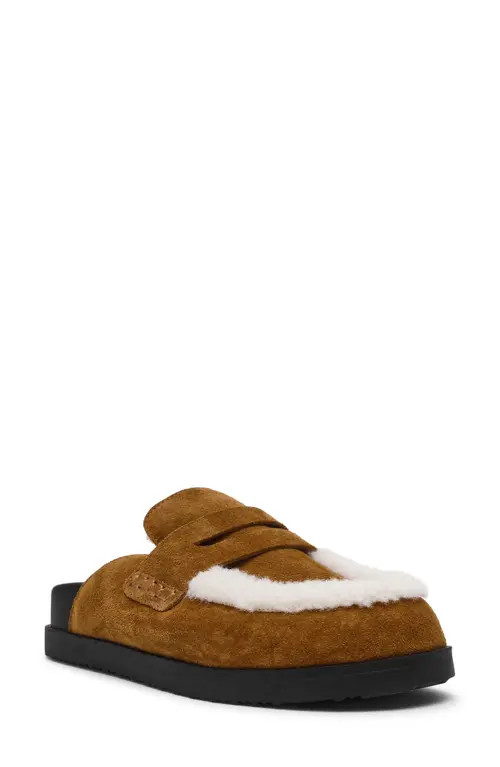 Steve Madden Tomlin Faux Fur Trim Mule in Chestnut Suede at Nordstrom, Size 9 | Nordstrom