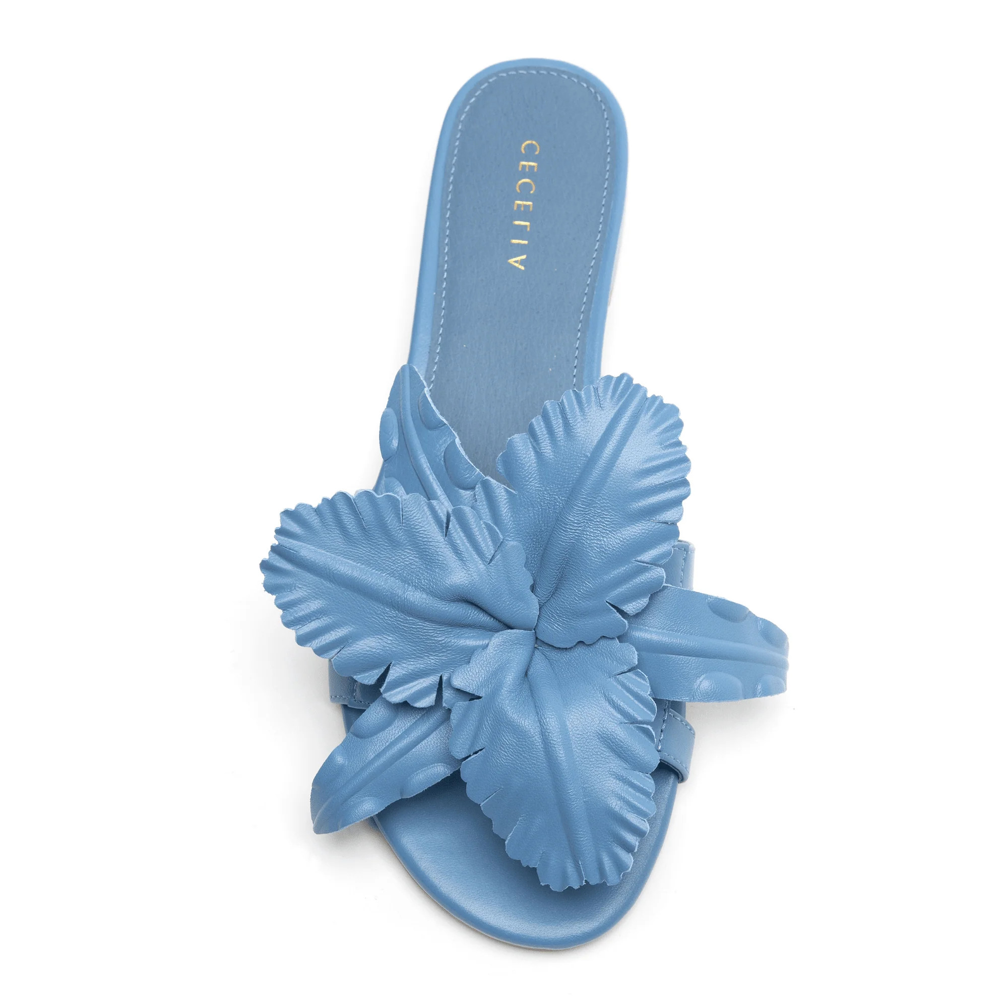 LILA | Cecelia New York