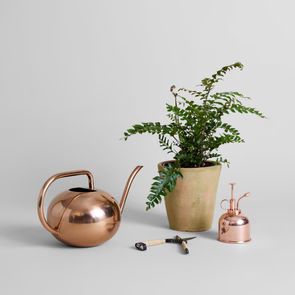 Beatrix Watering Can | Bloomist