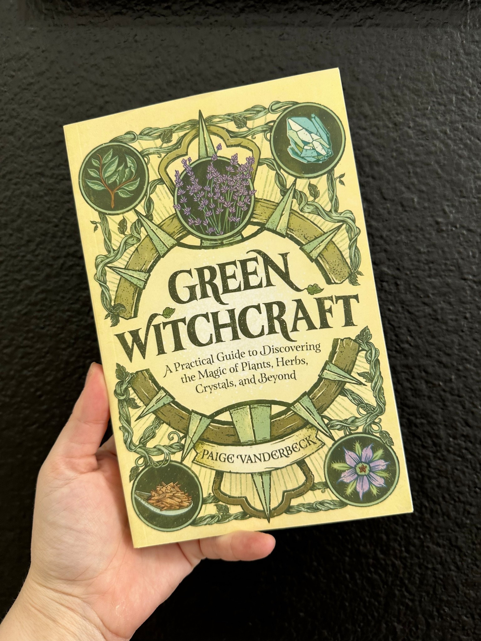 Green Witchcraft: a practical guide to discovering the magic of plants, herbs, crystals and beyond 

#LTKFindsUnder50 #LTKFindsUnder100