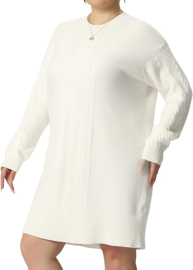 Agnes Orinda Plus Size Women 2025 Fall Crewneck Long Sleeve Knit Tunic Pullover Short Sweater Dre... | Amazon (US)