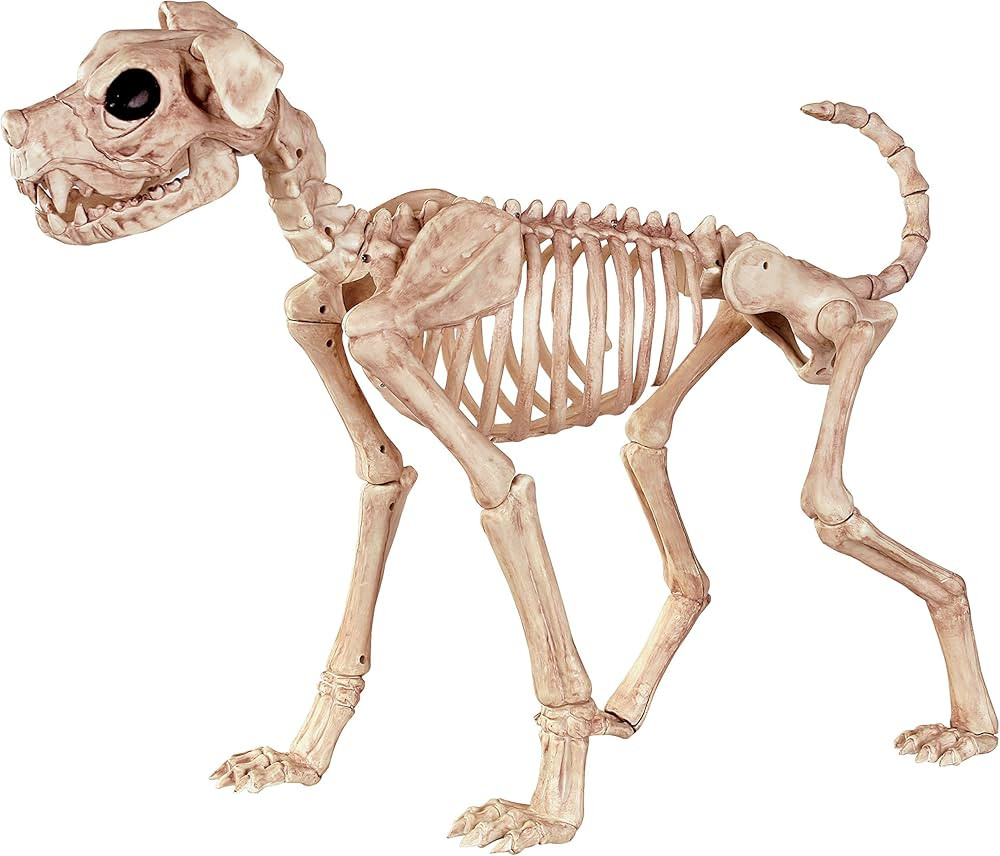 Crazy Bonez Skeleton Dog - Buster Bonez | Amazon (US)
