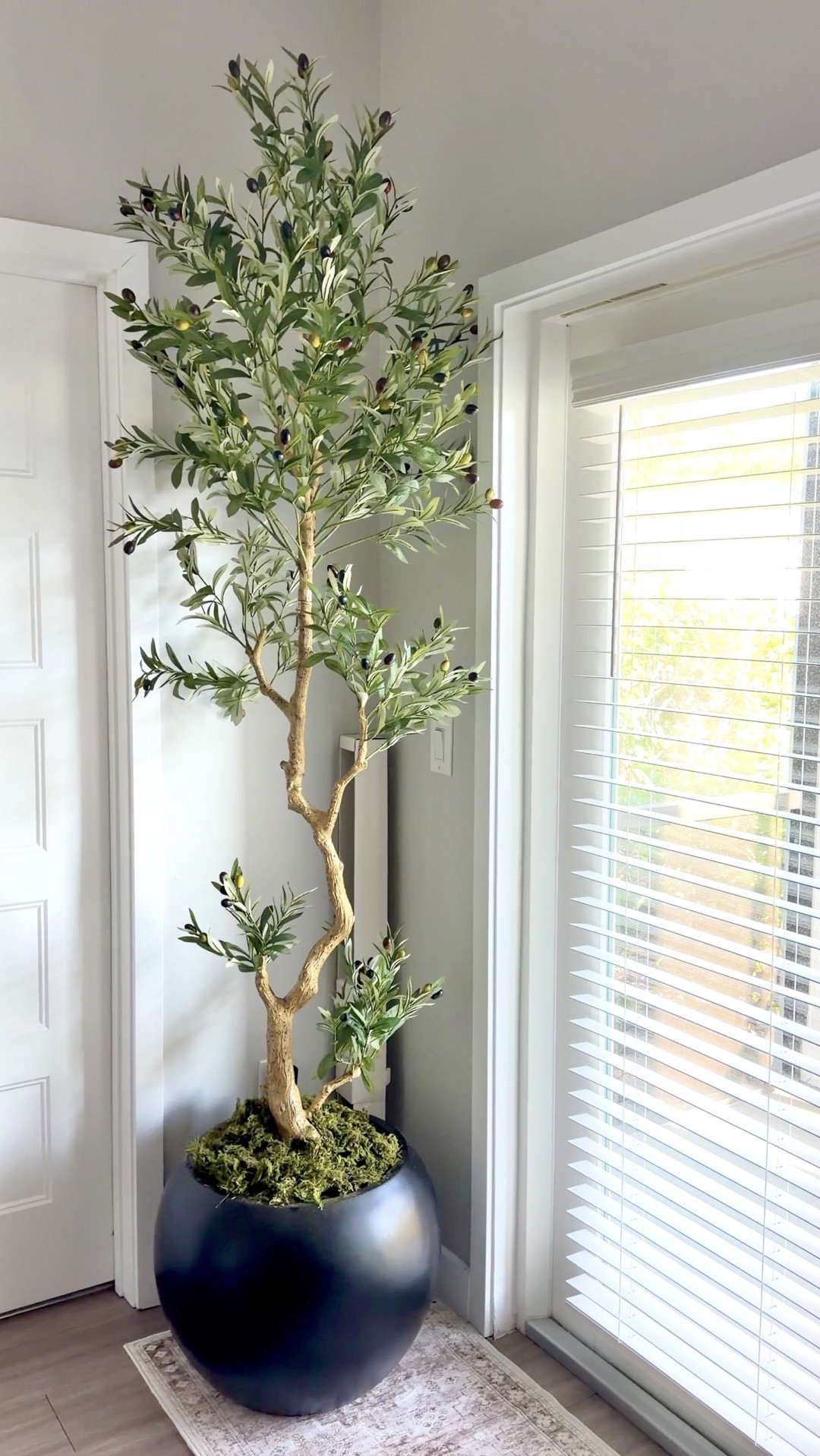 Can’t wait to share the Moser HQ project once it’s done 🤍 But you know me and my sneak peeks…

Obsessed with this tree + pot combo.

 The quality is so good, and it instantly elevated the space giving it a more luxe feel

#LTKHome