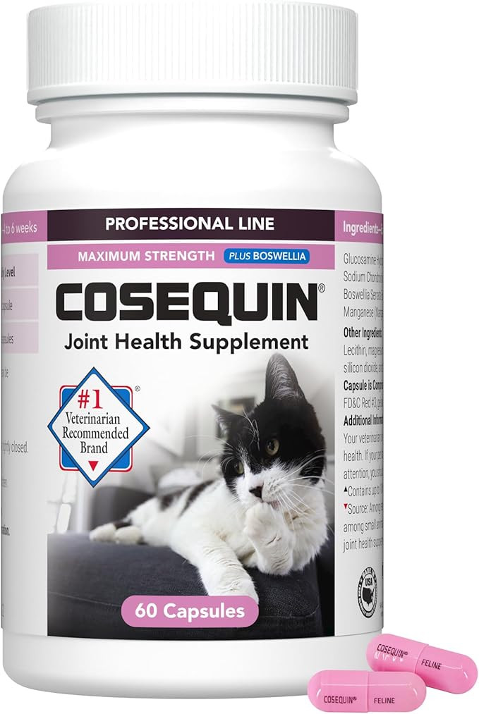 Nutramax Cosequin for Cats Joint Health Supplement, Contains Glucosamine for Cats, Plus Chondroit... | Amazon (US)