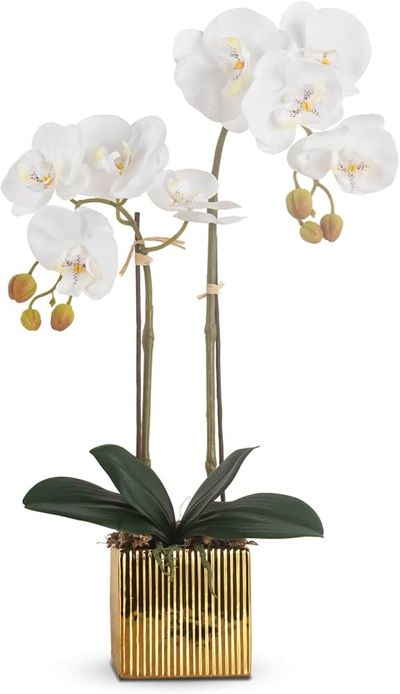 Artificial Orchid Flowers Potted in Ceramic Pot, White Faux Phalaenopsis Orchids for Table Center... | Amazon (US)