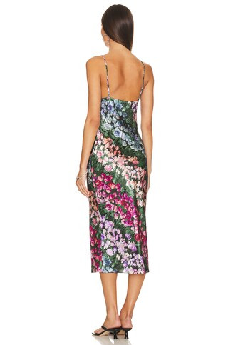 Rose Stripe Long Cowl Slip Dress in Rose Stripe | Revolve Clothing (Global)