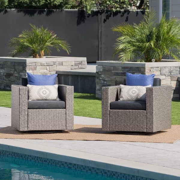 Billie-Anne Outdoor Swivel Patio Chair with Cushions | Wayfair Professional