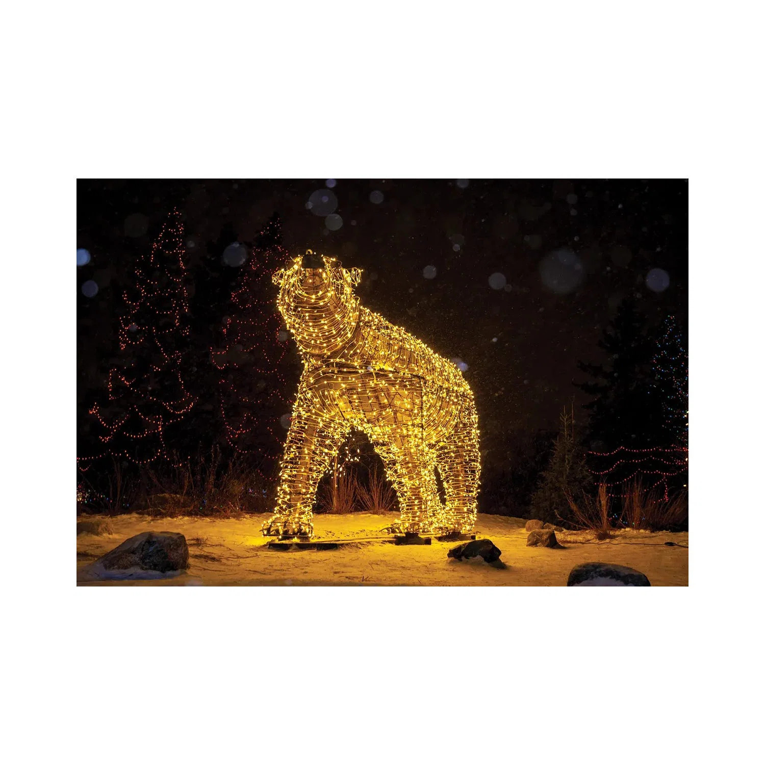 " Polar Bear Christmas Lights " by Nik Rave | Wayfair North America