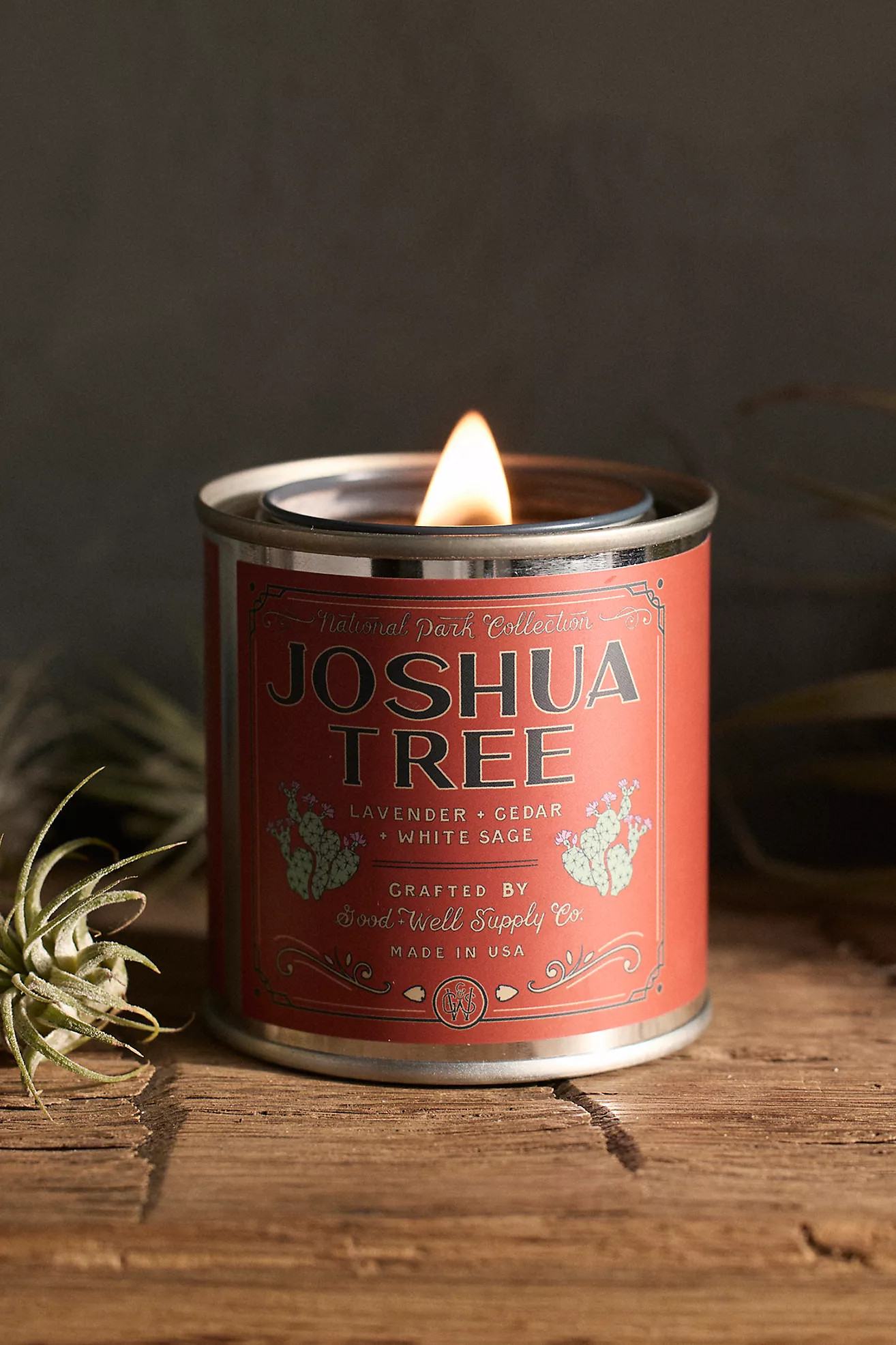 National Park Tin Candle | Terrain
