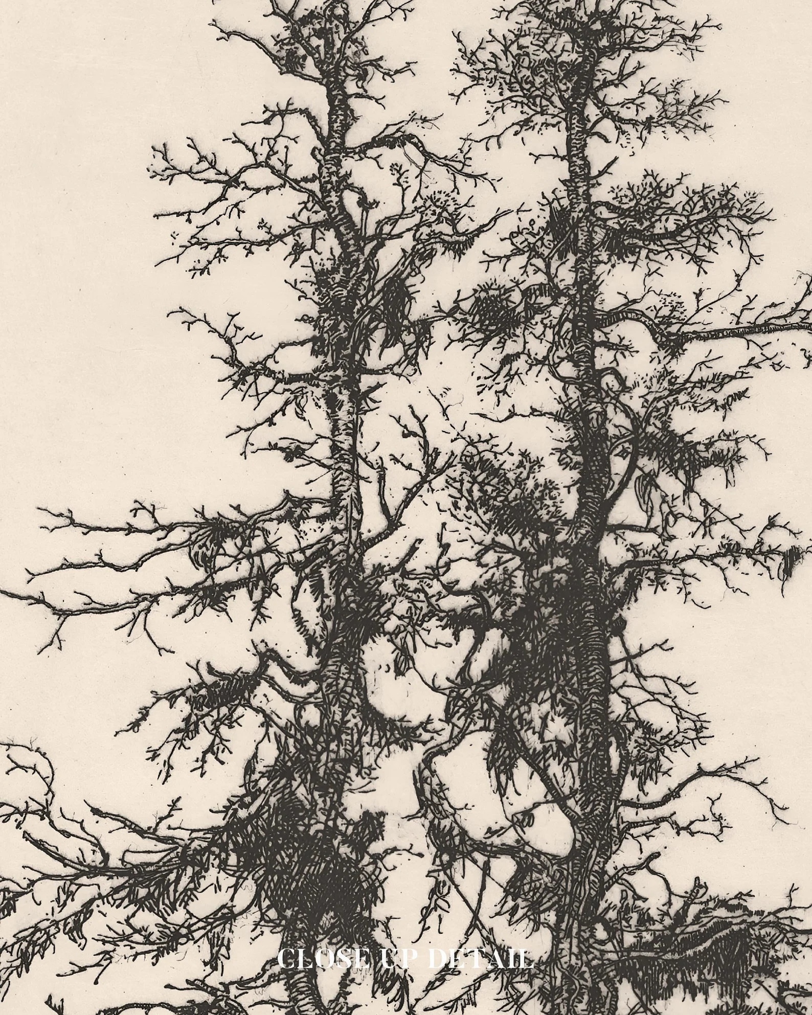 Vintage Tree Etching Print, Cottagecore Decor, Nature-inspired Home Decor - Etsy | Etsy (US)