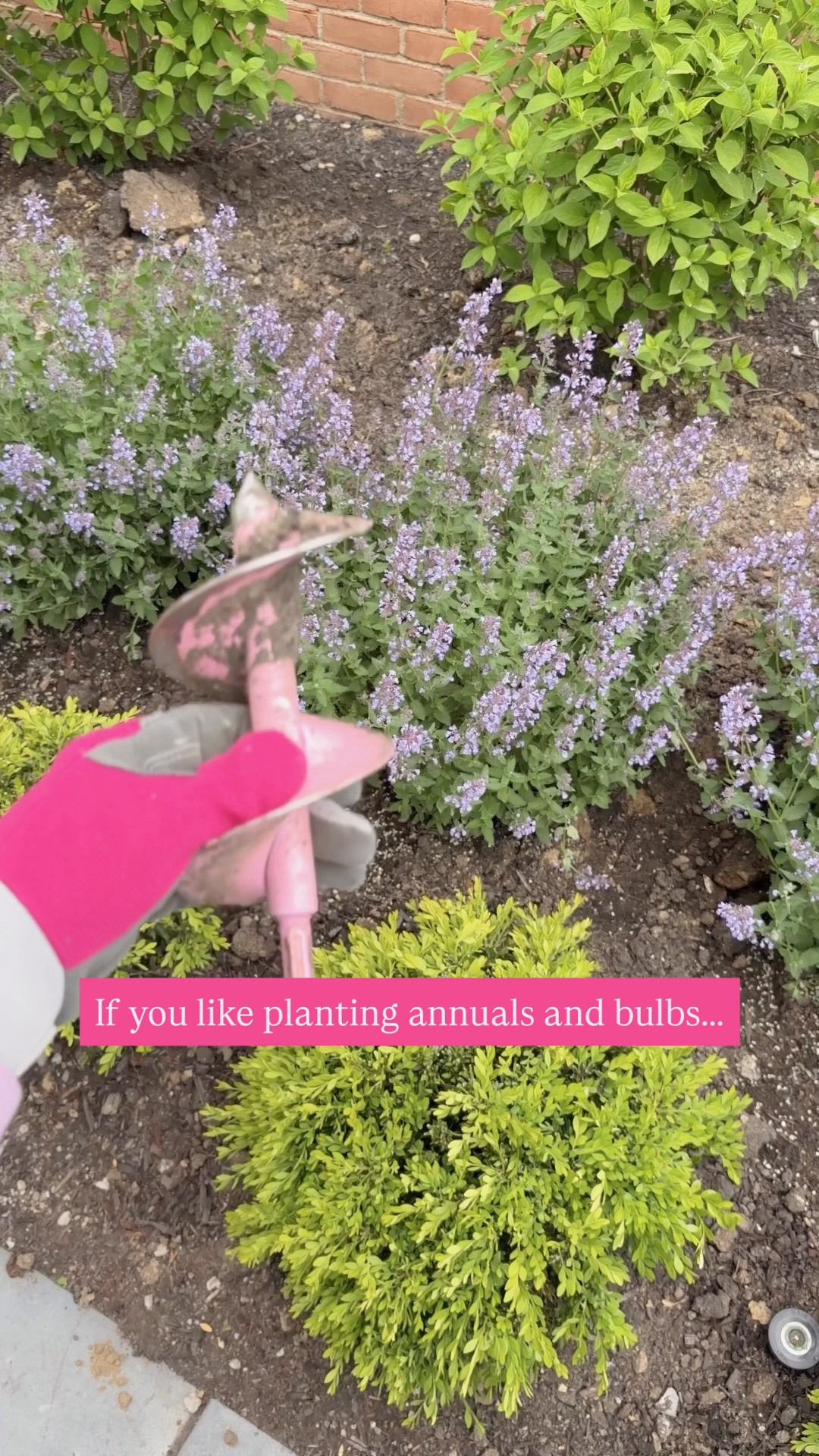 This auger makes short work of planting annuals of bulbs! It has literally saved me hours of work and a lot of physical strain on my body. It also cuts through really dry or hard soil and clay! 

#LTKHome #LTKSaleAlert #LTKSeasonal