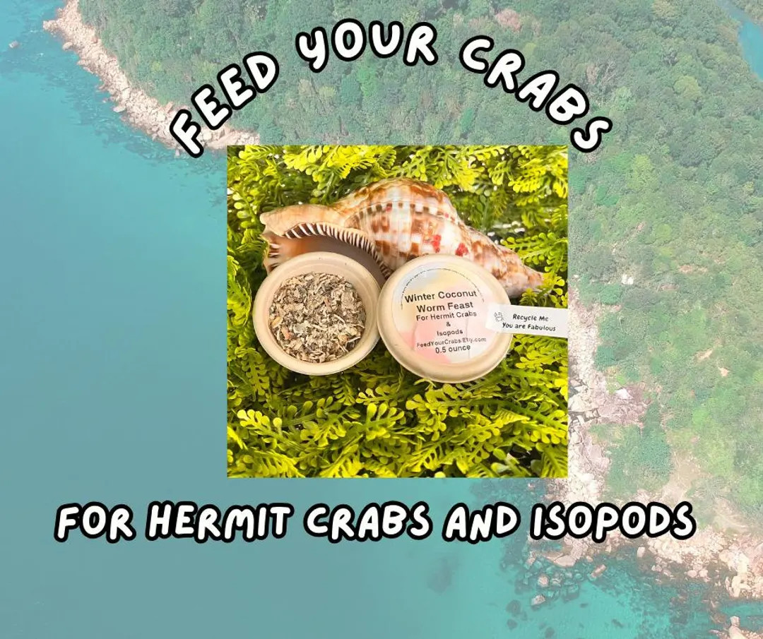 Hermit Crab Food: Winter Coconut Worm Feast, Eco-Friendly Cup | Etsy (US)