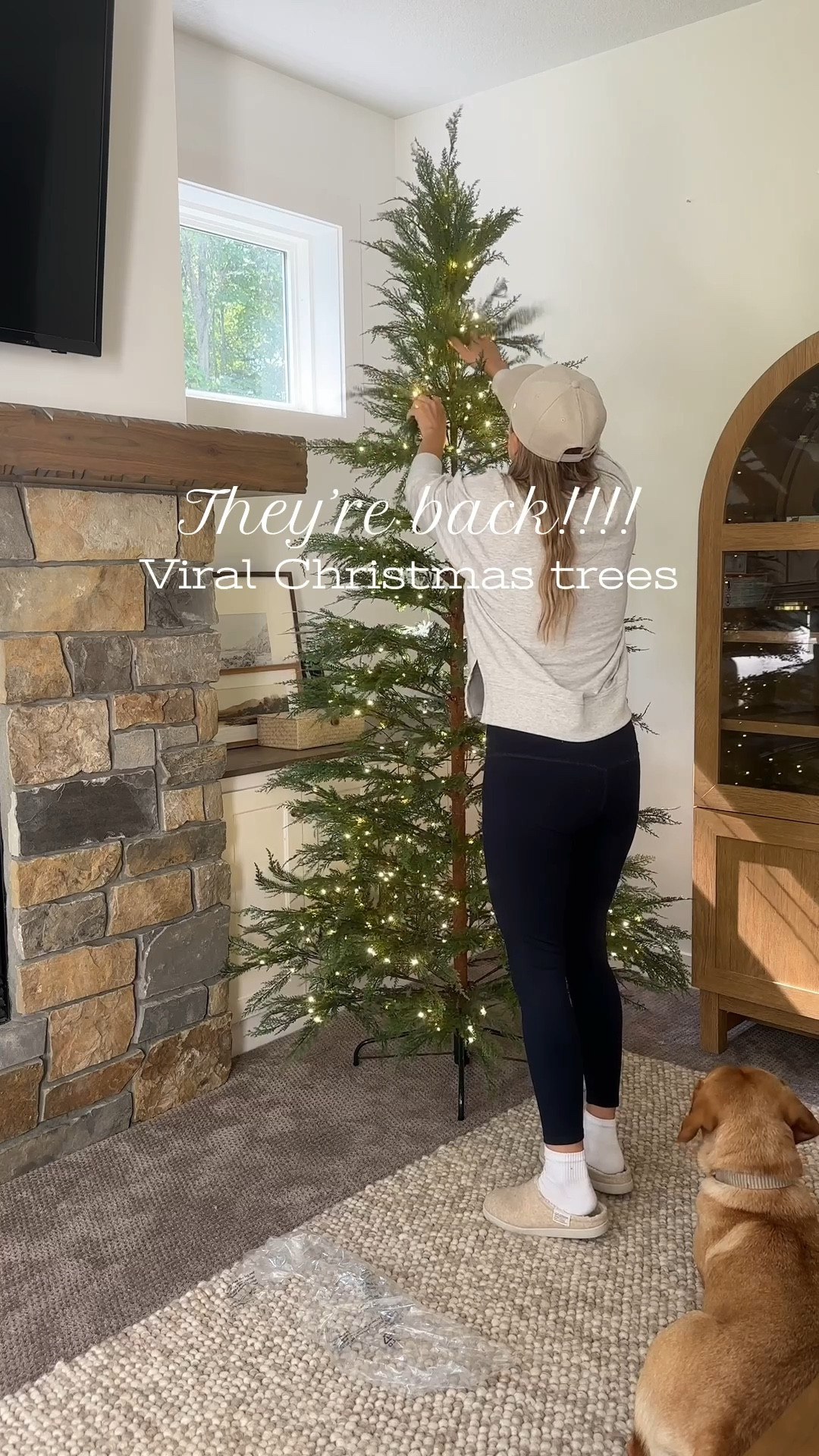 These gorgeous trees are back in stock this year!!! Beautiful minimal, soft touch trees! 
I’m sharing them early because they won’t last long ! 


#LTKSeasonal #LTKHome #LTKFamily