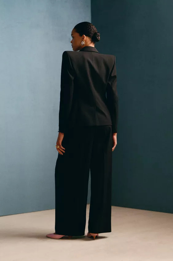 WOOL PLEATED PANTS WILLY CHAVARRIA X ZARA | Zara Canada