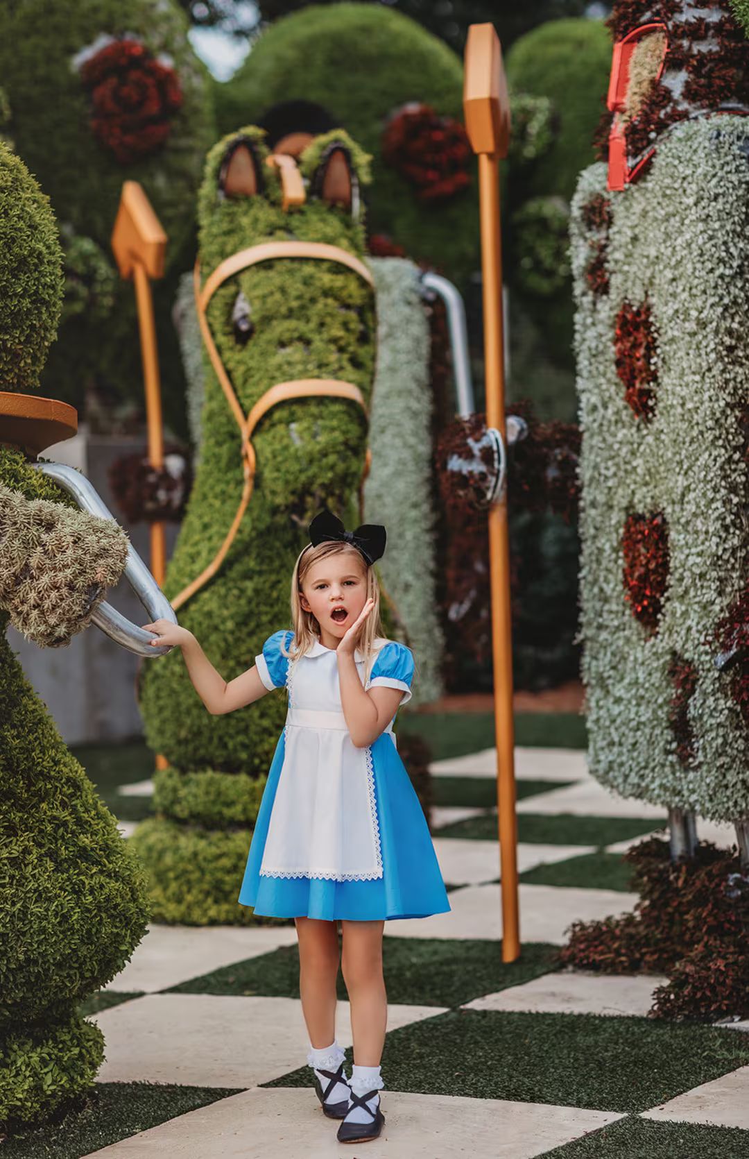 READY TO SHIP Alice in Wonderland Costumegirls Dressgirls - Etsy | Etsy (US)