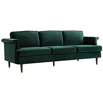 TOV Furniture The Porter Collection Contemporary Style Velvet Upholstered Living Room Sofa with B... | Amazon (US)