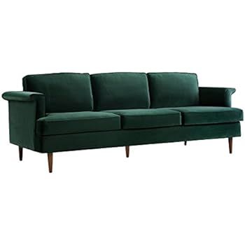 TOV Furniture The Porter Collection Contemporary Style Velvet Upholstered Living Room Sofa with B... | Amazon (US)