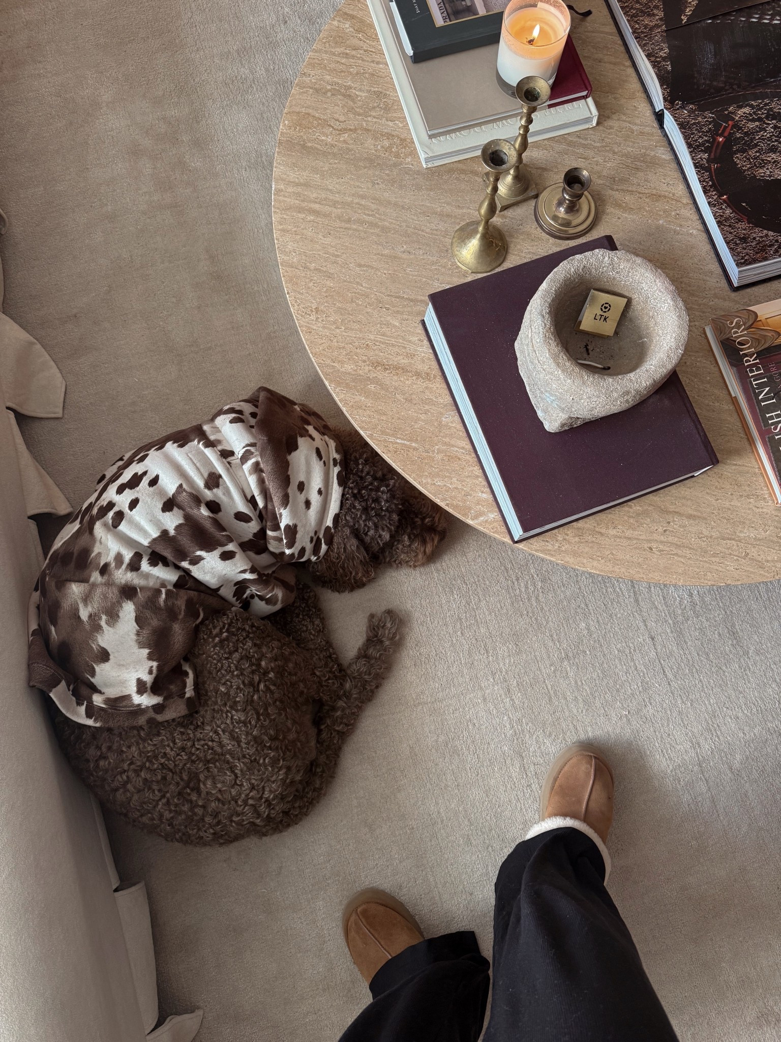 Doggy sweater! So cute 

#LTKHome #LTKdayinmylife #LTKmorningroutine