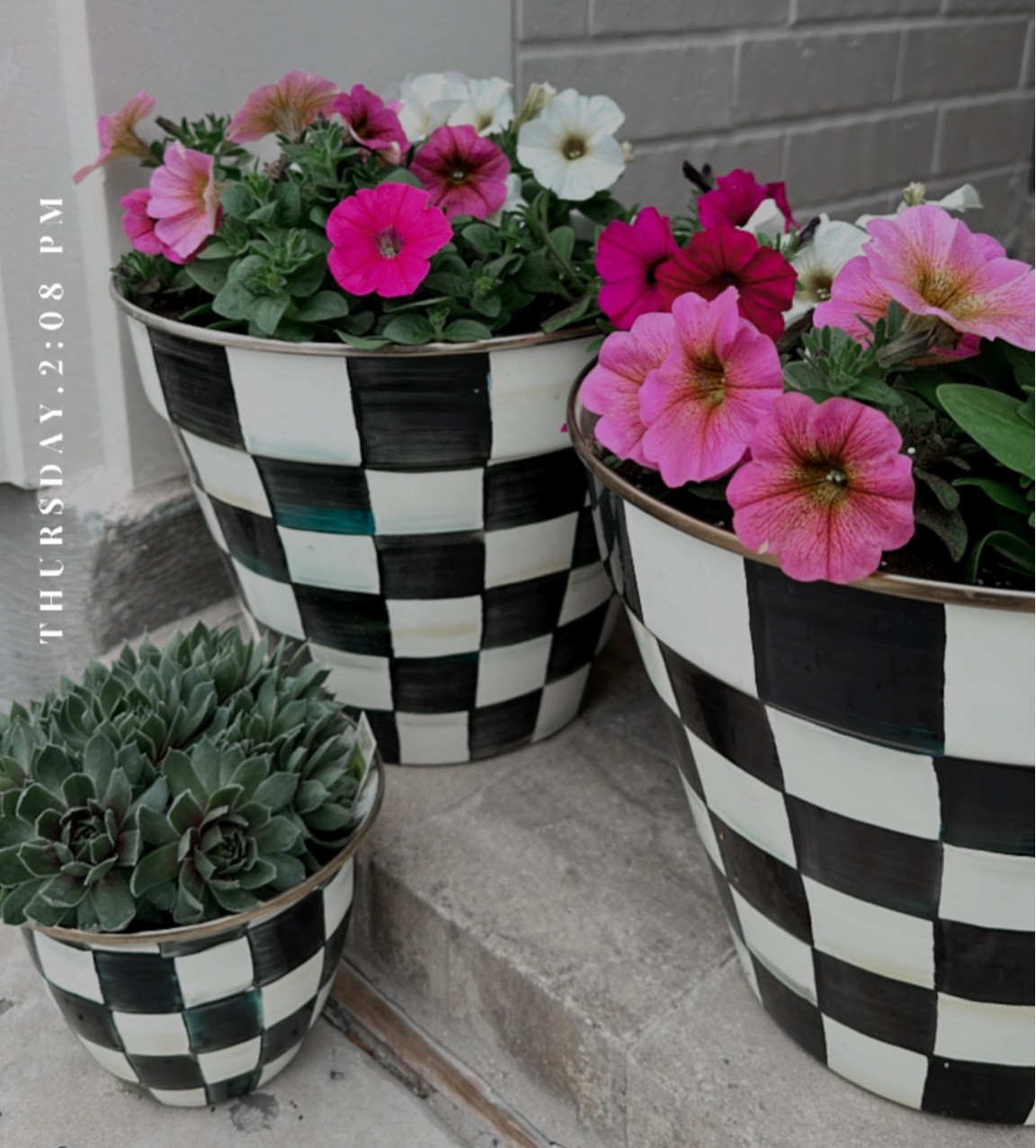 favorite spring pots! 🌸💕🏁

#LTKSeasonal #LTKunder100 #LTKhome