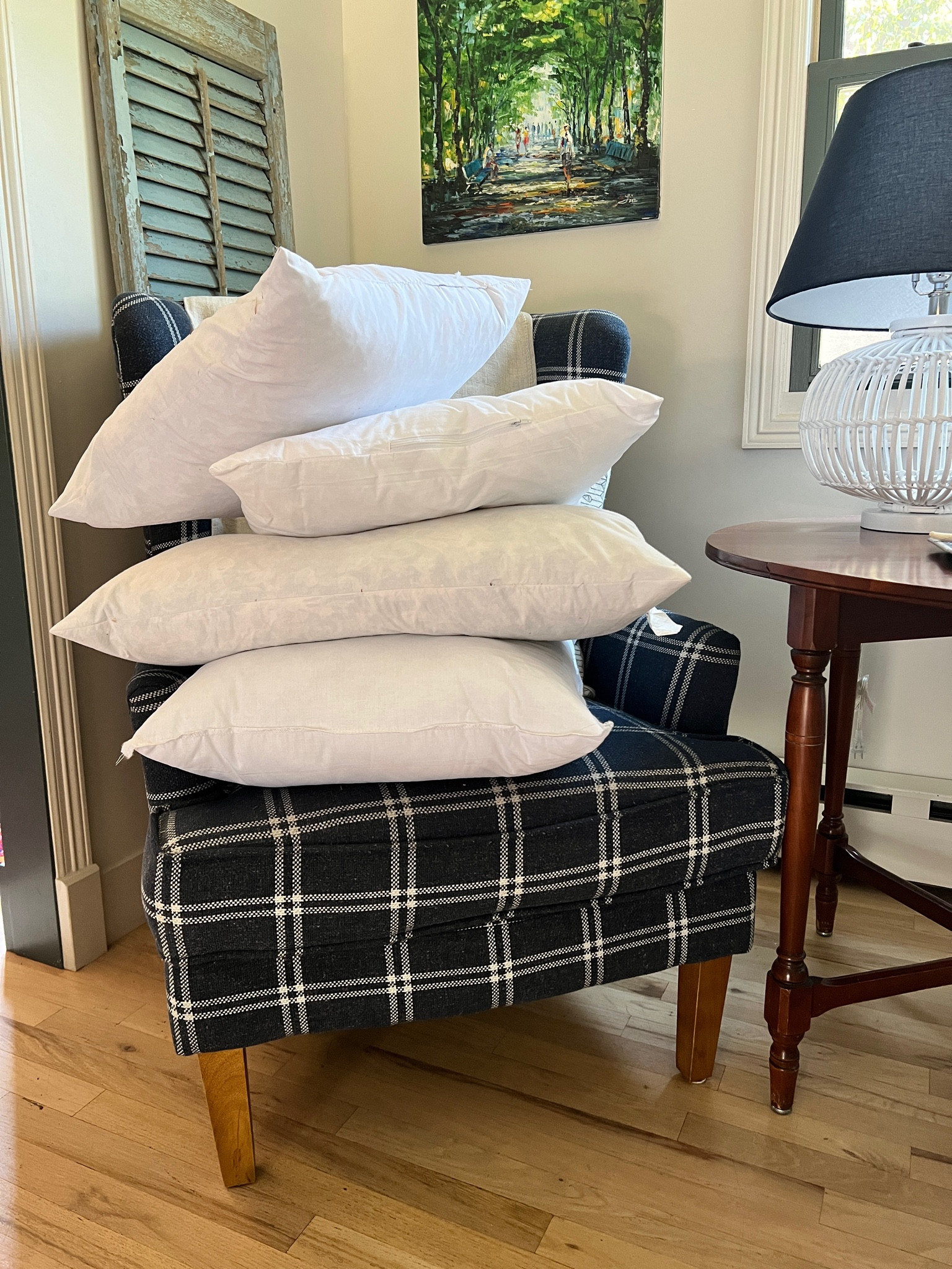 Pillow Inserts! Down, poly-fil, down alternative! My top rated choices and reviews! Pillow inserts for your decorative pillow covers. Options and price points vary.

#LTKunder50 #LTKFind #LTKhome