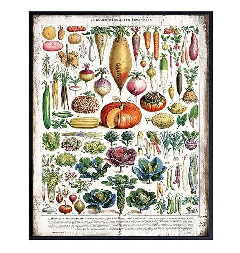Kitchen, Dining Room Decor - Rustic Vintage Botanical Vegetables, Legumes - Larousse Gastronomiqu... | Amazon (US)