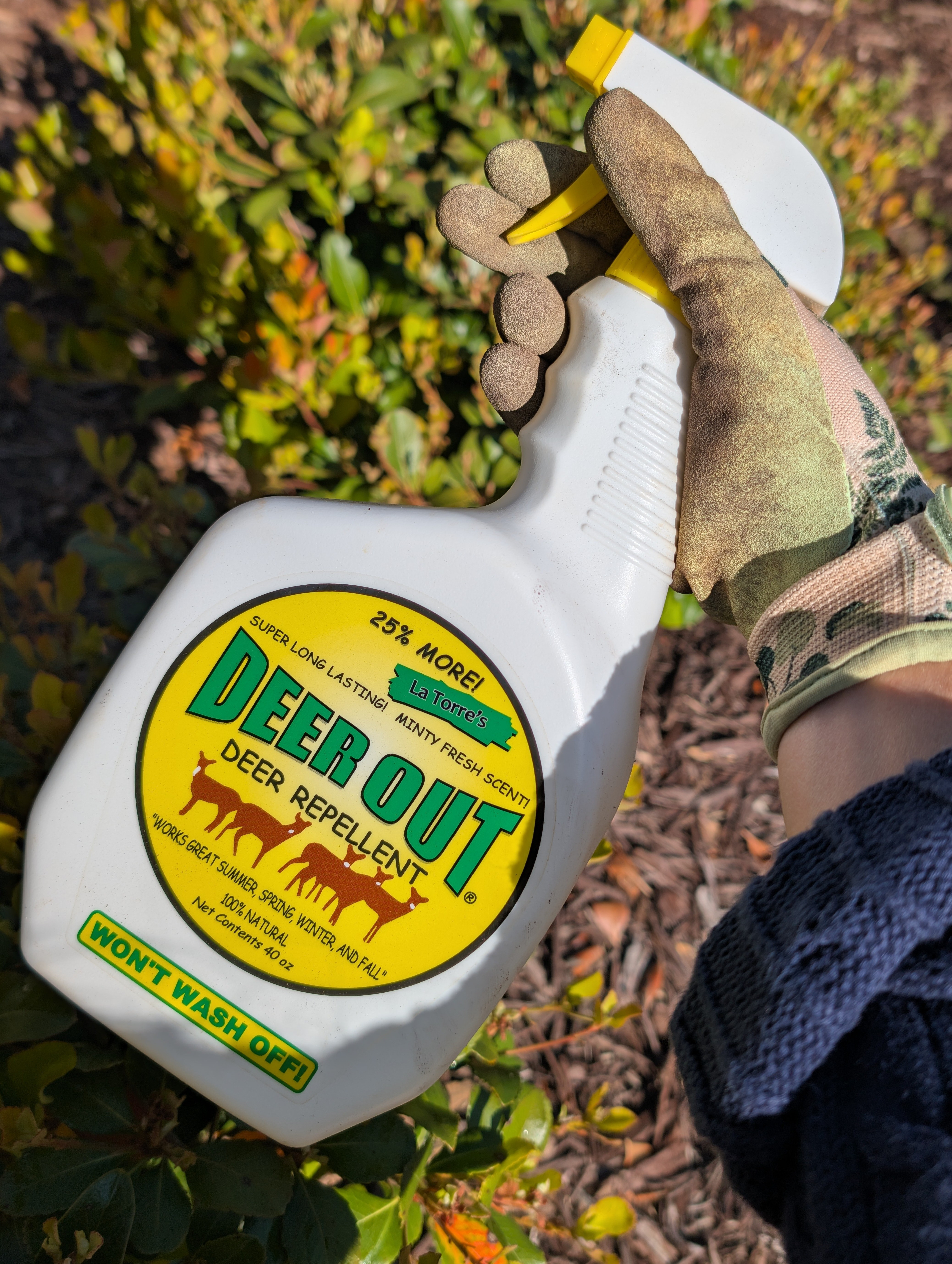 The best deer spray out there that actually keeps the deer from eating your plants #ltkgardening #amazonfinds 

