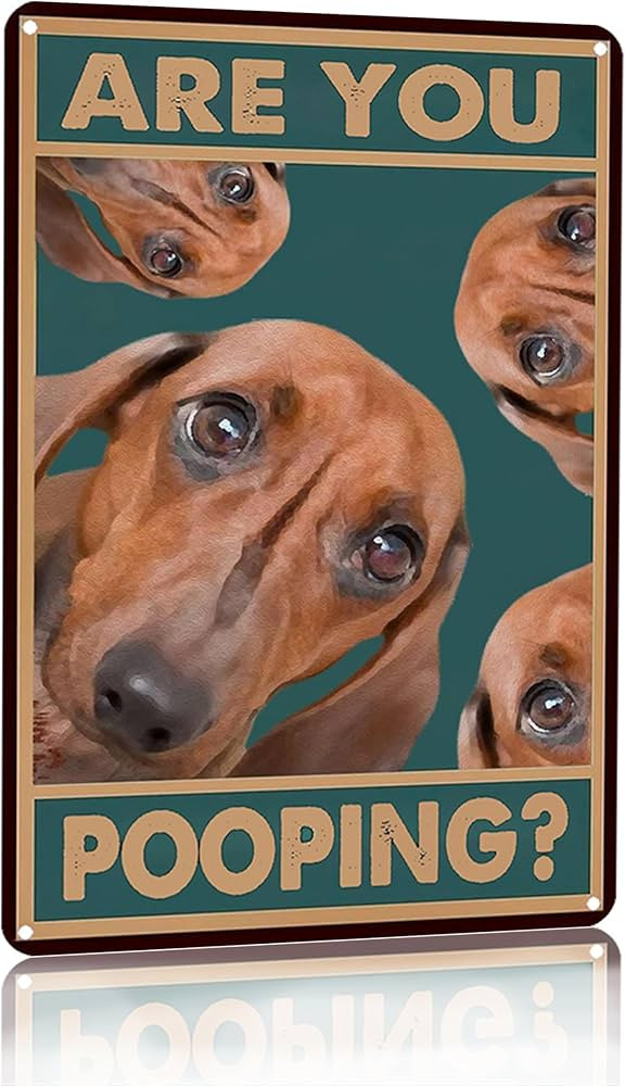 Vintage Dachshund Are You Pooping Funny Tin Sign for Bathroom Toilet Wall Decor 8 X 12 Inch (3040... | Amazon (US)